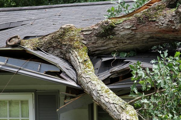 Storm Remediation in Aurora