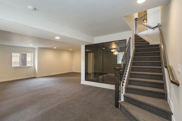 Basement Restoration Service in Aurora