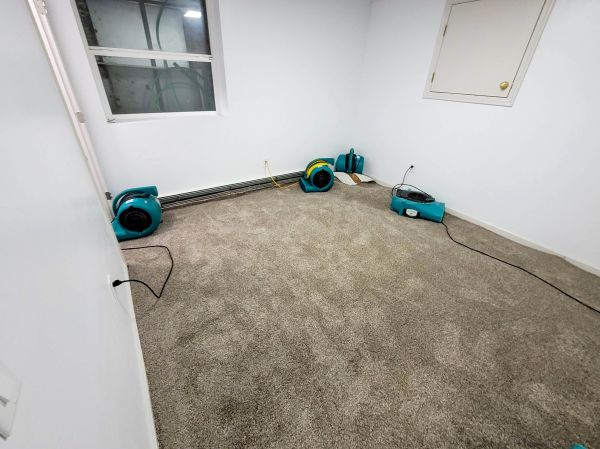 Flood Restoration Service in Aurora
